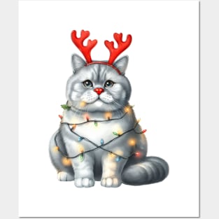 Christmas Red Nose Chartreux Cat Posters and Art